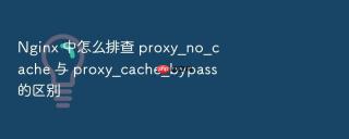 nginx 中怎么排查 proxy_no_cache 与 proxy_cache_bypass 的区别