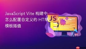 javascript vite 构建中怎么配置自定义的 html 模板插值
