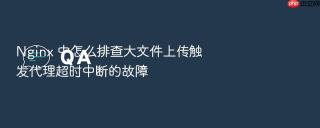 nginx 中怎么排查大文件上传触发代理超时中断的故障