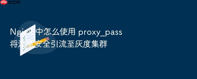 nginx 中怎么使用 proxy_pass 将流量安全引流至灰度集群