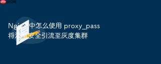 nginx 中怎么使用 proxy_pass 将流量安全引流至灰度集群