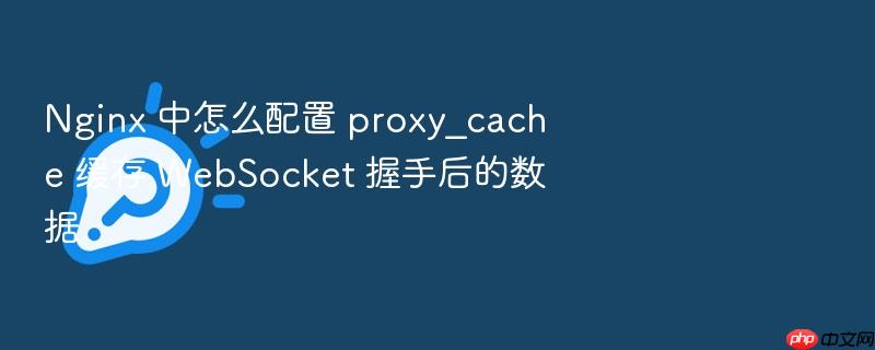nginx 中怎么配置 proxy_cache 缓存 websocket 握手后的数据