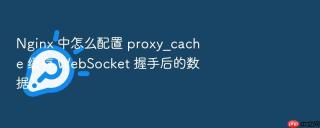 nginx 中怎么配置 proxy_cache 缓存 websocket 握手后的数据