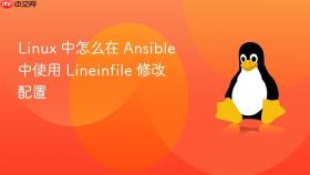 linux 中怎么在 ansible 中使用 lineinfile 修改配置