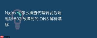nginx 中怎么排查代理转发后端返回 502 故障时的 dns 解析漂移