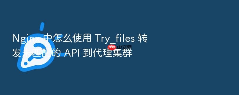 nginx 中怎么使用 try_files 转发未匹配的 api 到代理集群
