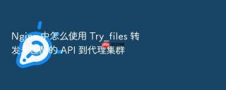 nginx 中怎么使用 try_files 转发未匹配的 api 到代理集群