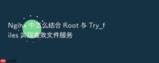 nginx 中怎么结合 root 与 try_files 实现高效文件服务