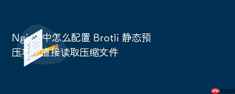 nginx 中怎么配置 brotli 静态预压功能直接读取压缩文件