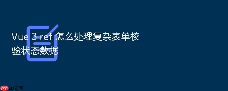 vue 3 ref 怎么处理复杂表单校验状态数据