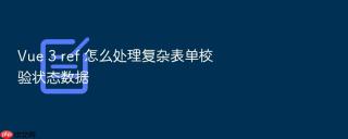 vue 3 ref 怎么处理复杂表单校验状态数据