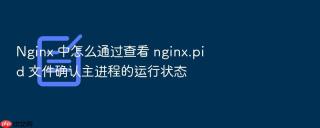nginx 中怎么通过查看 nginx.pid 文件确认主进程的运行状态