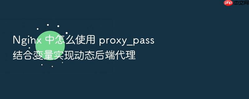 nginx 中怎么使用 proxy_pass 结合变量实现动态后端代理