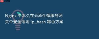nginx 中怎么在云原生微服务网关中安全落地 ip_hash 路由方案