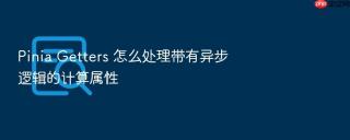 pinia getters 怎么处理带有异步逻辑的计算属性