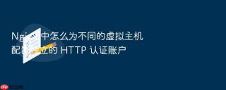 nginx 中怎么为不同的虚拟主机配置独立的 http 认证账户