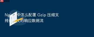 nginx 中怎么配置 gzip 压缩支持自定义的响应数据流