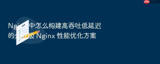 nginx 中怎么构建高吞吐低延迟的企业级 nginx 性能优化方案