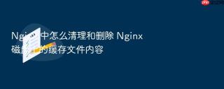 nginx 中怎么清理和删除 nginx 磁盘上的缓存文件内容