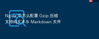 nginx 中怎么配置 gzip 压缩支持纯文本与 markdown 文件