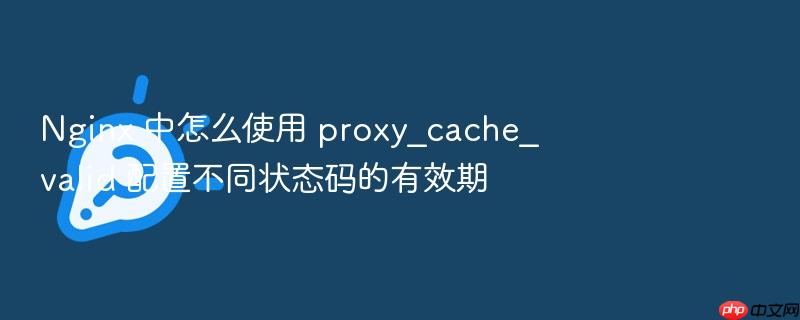 nginx 中怎么使用 proxy_cache_valid 配置不同状态码的有效期