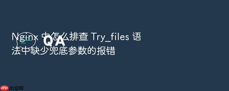nginx 中怎么排查 try_files 语法中缺少兜底参数的报错