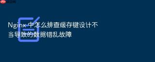nginx 中怎么排查缓存键设计不当导致的数据错乱故障