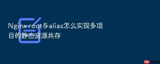 nginx root与alias怎么实现多项目的静态资源共存