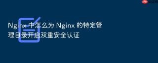 nginx 中怎么为 nginx 的特定管理目录开启双重安全认证