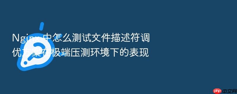 nginx 中怎么测试文件描述符调优方案在极端压测环境下的表现