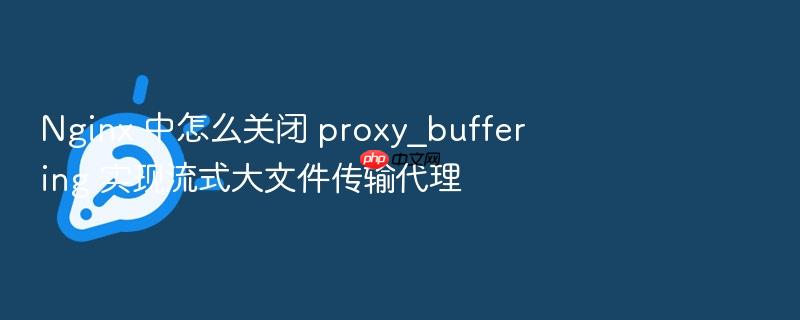 nginx 中怎么关闭 proxy_buffering 实现流式大文件传输代理