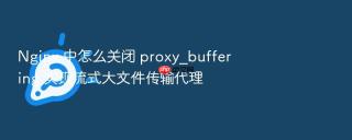 nginx 中怎么关闭 proxy_buffering 实现流式大文件传输代理