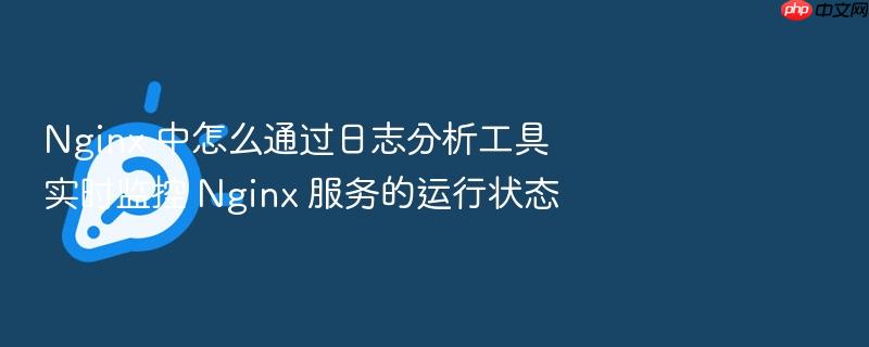 nginx 中怎么通过日志分析工具实时监控 nginx 服务的运行状态