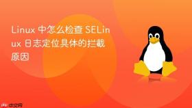linux 中怎么检查 selinux 日志定位具体的拦截原因