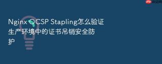 nginx ocsp stapling怎么验证生产环境中的证书吊销安全防护