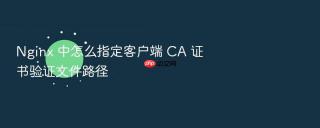 nginx 中怎么指定客户端 ca 证书验证文件路径