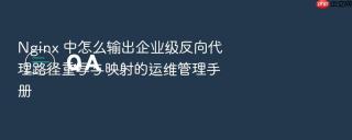 nginx 中怎么输出企业级反向代理路径重写与映射的运维管理手册
