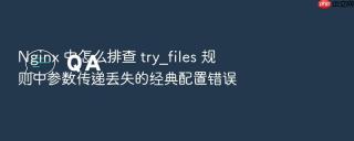 nginx 中怎么排查 try_files 规则中参数传递丢失的经典配置错误