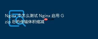 nginx 中怎么测试 nginx 启用 gzip 后的传输体积缩减