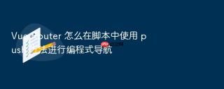 Vue Router 怎么在脚本中使用 push 方法进行编程式导航