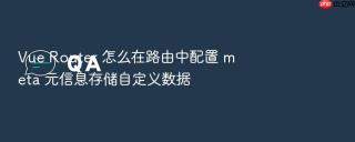 Vue Router 怎么在路由中配置 meta 元信息存储自定义数据