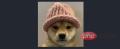 Dogwifhat (WIF) 价格预测2024—2030 - php中文网