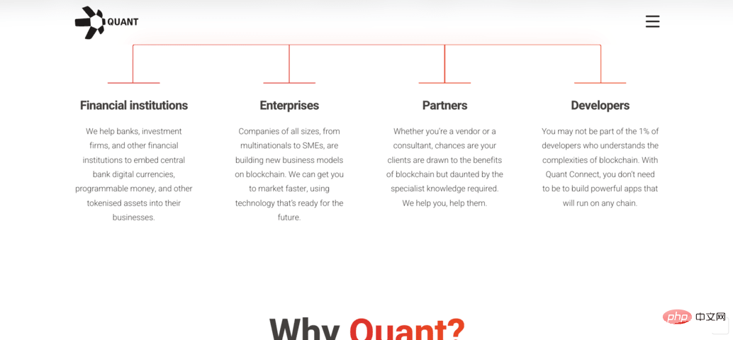 Quant Price Forecast 2024-2030