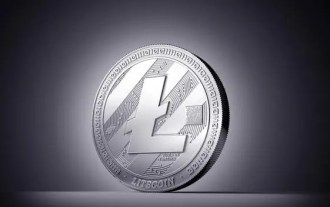 View your Litecoin wallet address