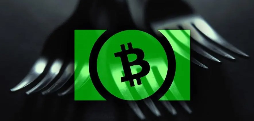 What is Bitcoin Cash?