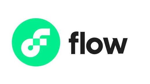 What is the total amount of flow coins?