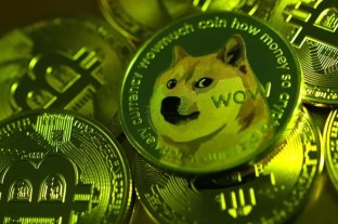 狗狗币买入教程