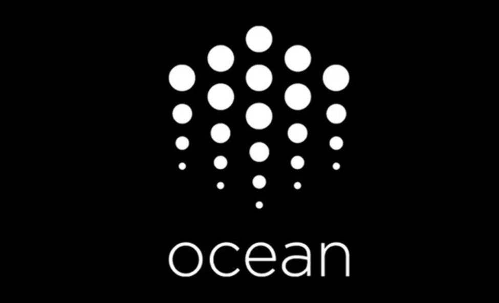 What is the development prospect of ocean currency?