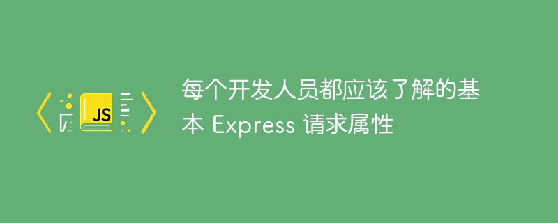 每个开发人员都应该了解的基本 express 请求属性