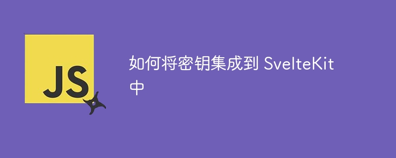 如何将密钥集成到 sveltekit 中